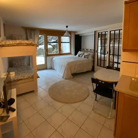 Brunnmatt Apartment